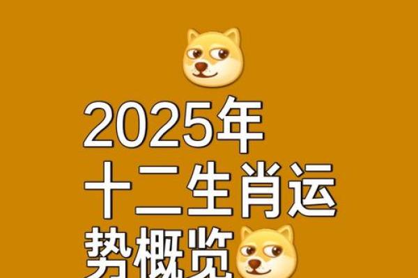 1984年生肖鼠2025年运势 1984年生肖鼠2025年运势