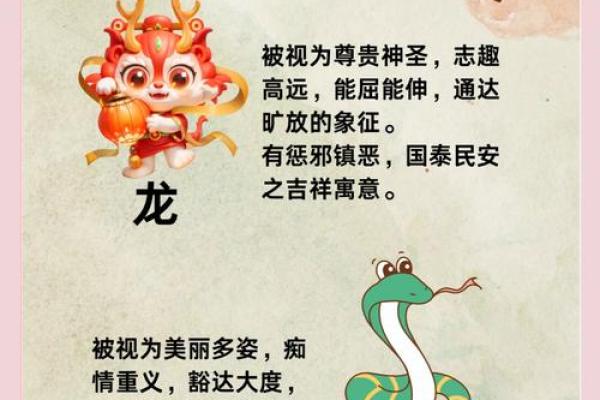 “皮开肉绽”是什么生肖动物，皮开肉绽是什么生肖动物答案解释释义落实