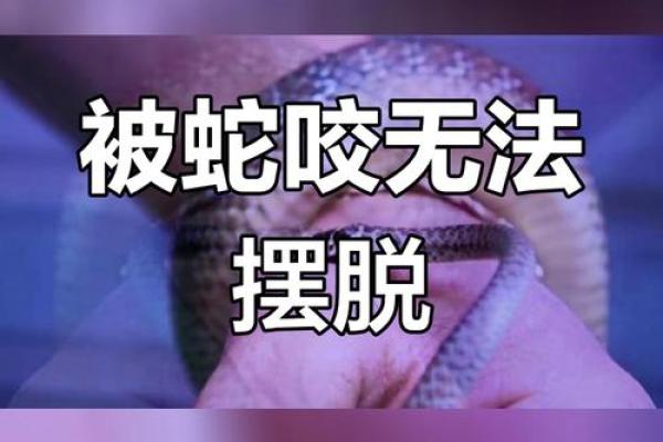 梦见儿子被蛇咬了是什么征兆 梦见儿子被蛇咬了是什么征兆