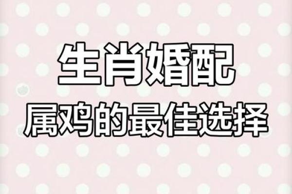 生肖属鸡2025年11月结婚最吉利的日子有哪些 2025年11月属鸡订婚吉日