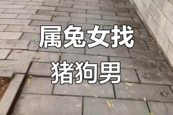 99年属兔女的最佳结婚年龄,1999年属兔婚配男人