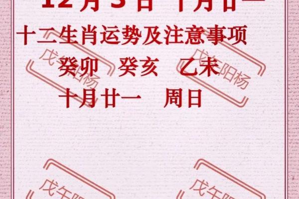 2025年癸卯年农历11月吉日 癸卯日生人结婚吉日