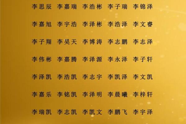 陆姓男孩名字大全-陆姓男孩起名字大全-陆姓名字大全姓名