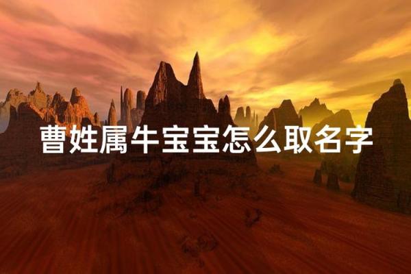 半夜出生的属牛男孩取名常用字有哪些姓名