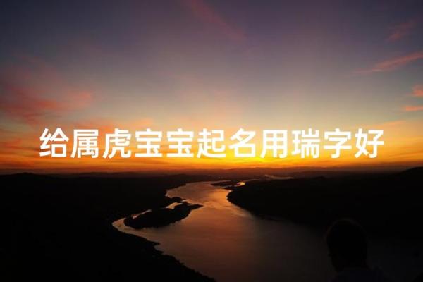 早上9点出生的属虎男孩怎么起名，用什么字姓名